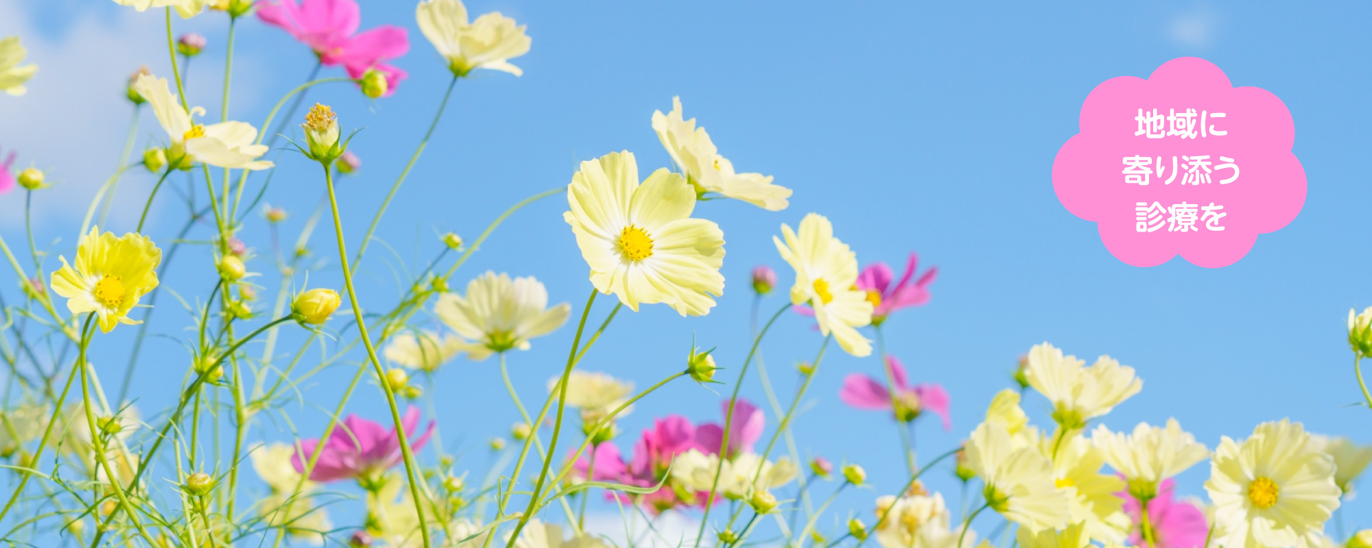 地域に寄り添う診療を 親子で同時に受診できます 一般内科・生活習慣病・循環器内科・小児科・健康診断・予防接種