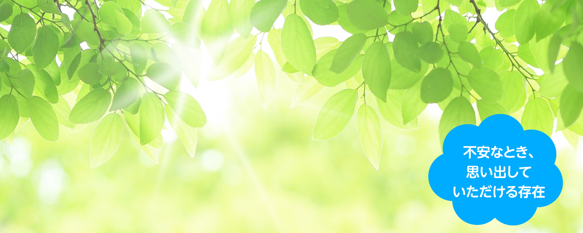 不安なとき、思い出していただける存在 院内処方・ジェネリック薬を採用 土曜日午後も診療